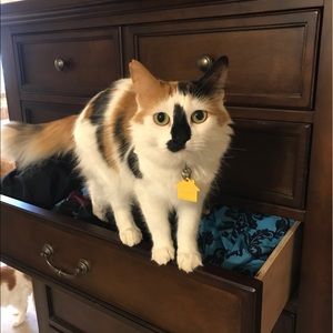 Meet your Posher, Tiffany